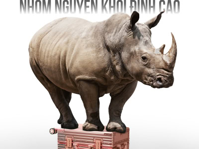 TRAVELKING 1805 – KHẲNG ĐỊNH VỊ THẾ NGƯỜI DẪN ĐẦU