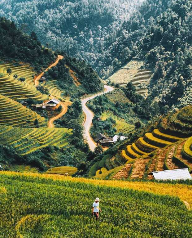 d0e333c7ed54b488fb3121a3dd3ad513