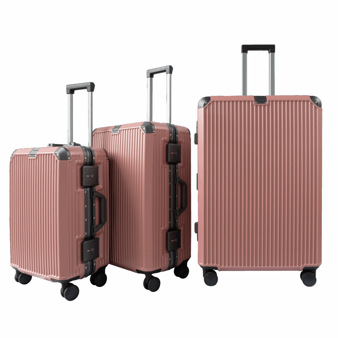 vali-khung-nhom-travelking-8003